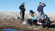 Auf der Hut vor Eisbären: Die Aufsammlung von Proben am Kongsfjord auf Spitzbergen erfolgt unter strengen Sicherheitsvorkehrungen.