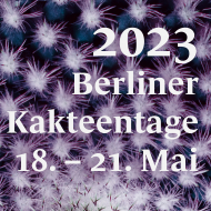 Berliner Kakteentage 2023 Motiv Quadrat mit Text
