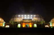 Nächtliches Großes Tropenhaus (zur Palmensinfonie). Foto: K. Schomaker / Botanischer Garten und Botanisches Museum Berlin