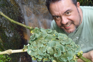 Dr. Robert Lücking bei der Feldarbeit im kolumbianischen Regenwald