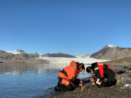 Wissenschaftler*innen entnehmen Biofilm-/Sedimentsproben mit Kieselalgen (Diatomeen) im Flachwasser der Insel Blomstrandhalvøya im Kongsfjord auf Spitzbergen.
