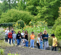 Botanikschule_Unterricht