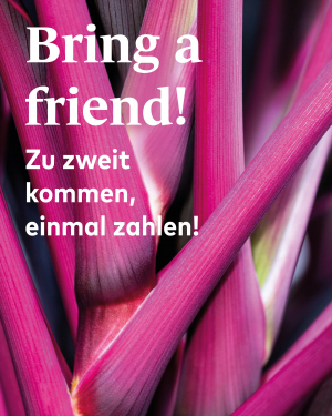 Bring a friend 2for1 Kampagne