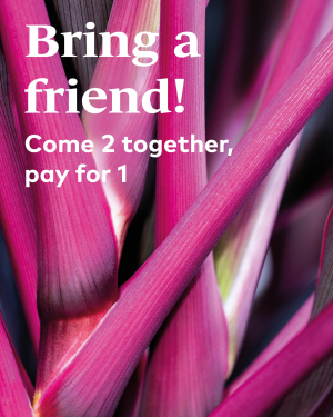 Bring a friend 2for1 Kampagne EN