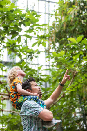 Besucher im Großen Tropenhaus