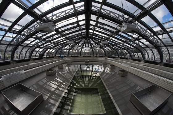 Botanischer Garten Berlin Februar kommt zur 252 ck wiederbepflanzung des Botanischer Garten Berlin Februar kommt zur 252 ck wiederbepflanzung des