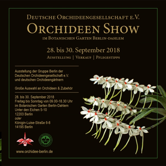 Orchideen Show Der Deutschen Orchideen Gesellschaft Ausstellung