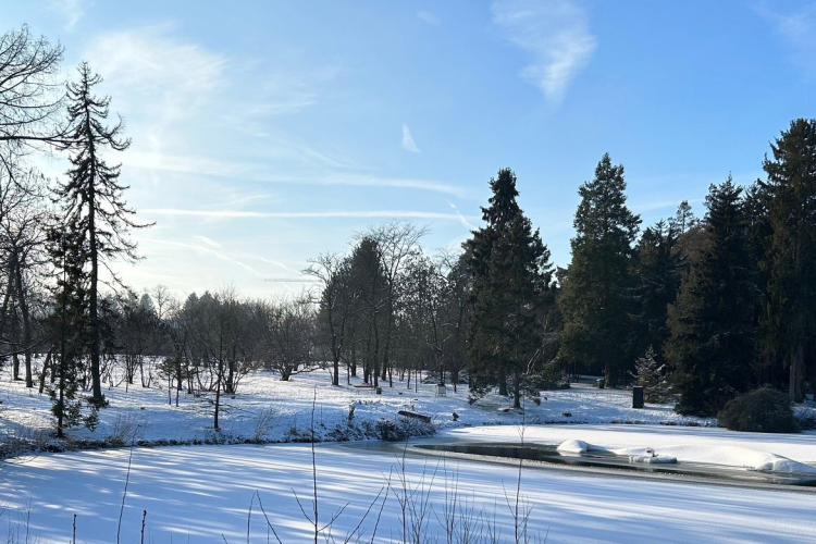 Botanischer Garten im Schnee