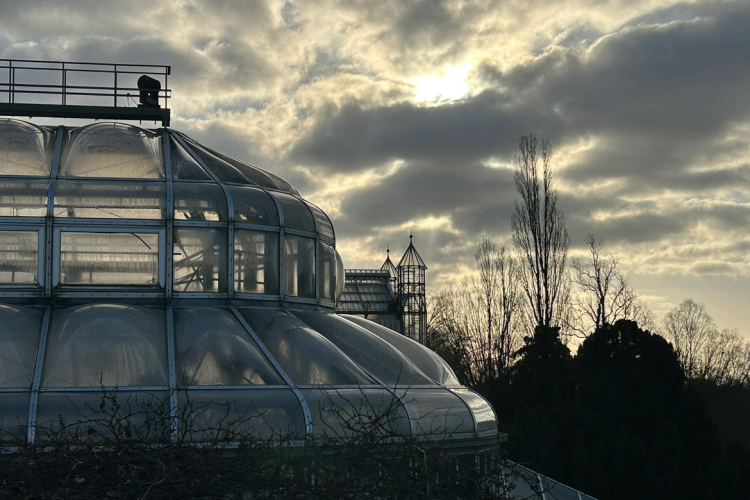 Gewächshaus im Winterlicht