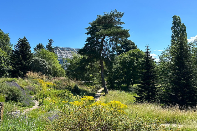 Gartenansicht mit Gewächshaus