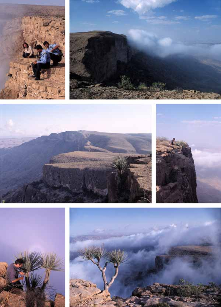 Eine Kollage aus Bildern vom Kor Seiban, Hadramaut