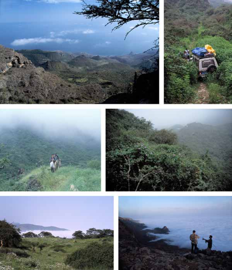 Eine Kollage aus Bildern vom Hawf-Gebirge, Al-Mahra