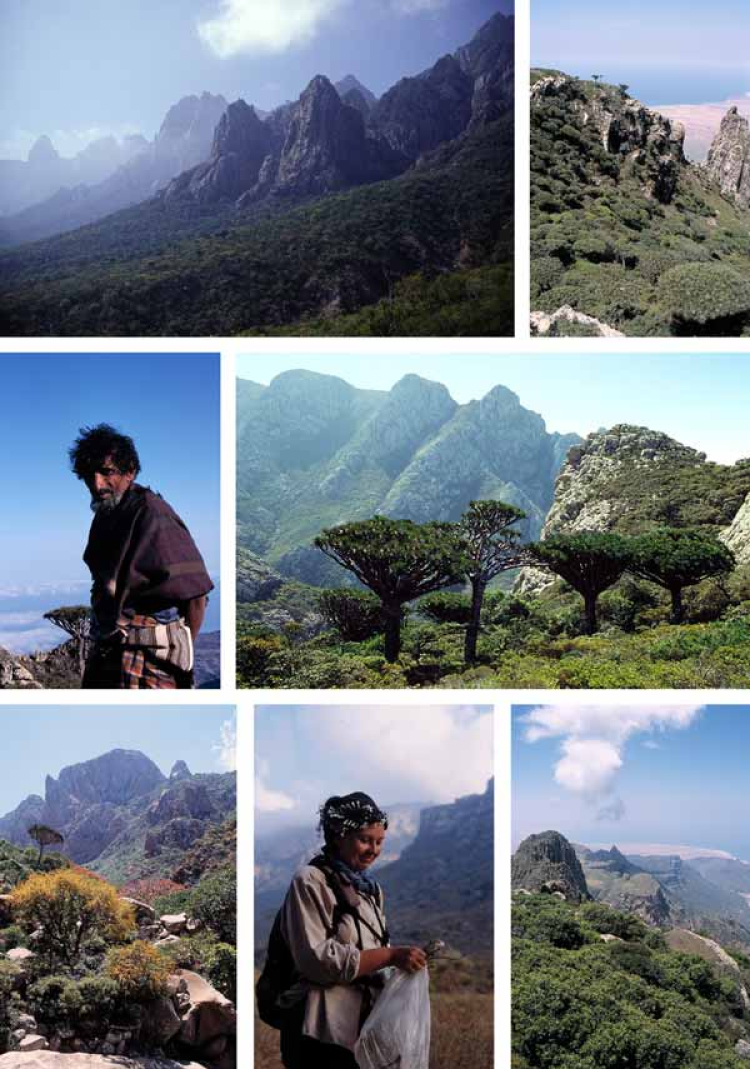 Eine Kollage aus Bildern vom Haggier-Gebirge, Sokotra