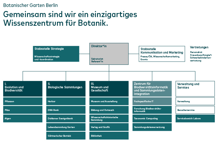 Organigramm ZE BGBM