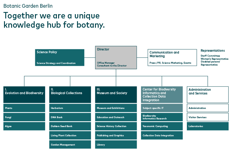 Organisational Structure ZE BGBM