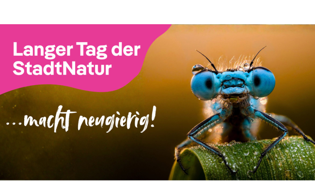 <p>Langer Tag der StadtNatur</p>