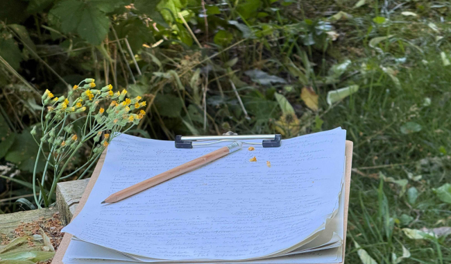 <p>Klemmbrett mit Handschrift im Grünen</p>