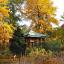 Herbst rund um den Japanpavillon